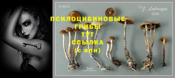 СК Инта