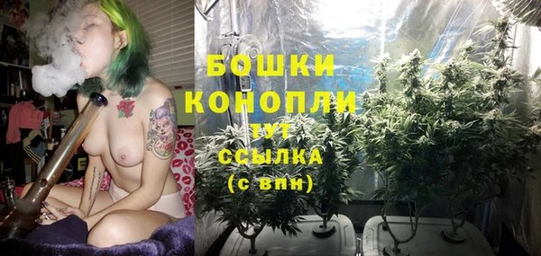 СК Инта