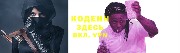 СК Инта