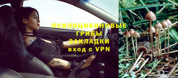 СК Инта