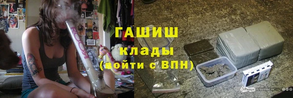 СК Инта